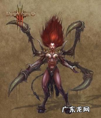 都瑞尔的壳在哪里爆 督瑞尔