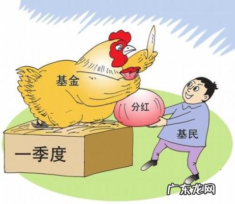 基金分红是现金分红好还是红利再投资好 基金分红