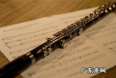 十大最有气质的乐器女适合女孩学的乐器 十大最有气质的乐器女