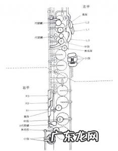 单簧管指法图解 单簧管指法图