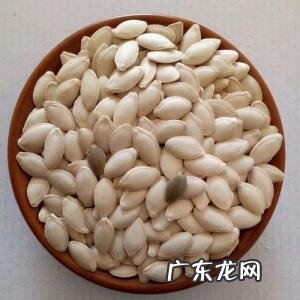 南瓜子吃多了有什么副作用 南瓜子吃多了有什么副作用