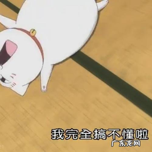 你好卡哇伊是什么意思 卡哇伊是什么意思