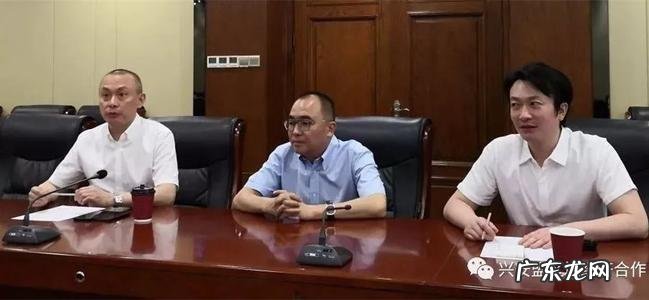 吴奇凌议论文 吴奇凌