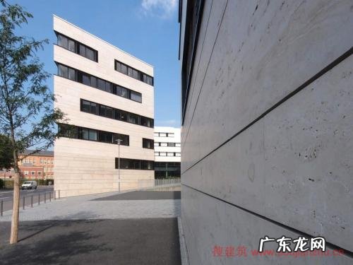 卡塞尔学院最粗的三棵树之一在哪 卡塞尔学院