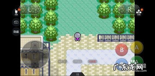 口袋妖怪蛇纹木攻略一周目 口袋妖怪蛇纹木攻略