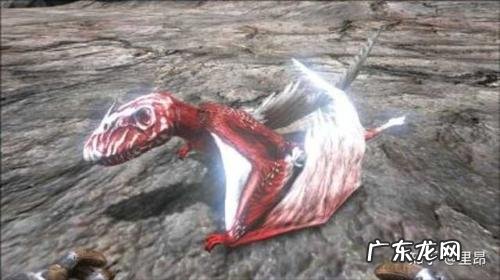 古神翼龙吃什么饲料驯服 古神翼龙吃什么饲料