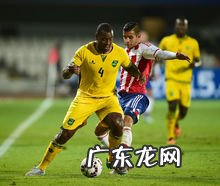 哥斯达黎加国家队