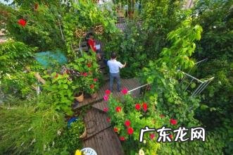 地下cbd人生后花园 杭州空中后花园