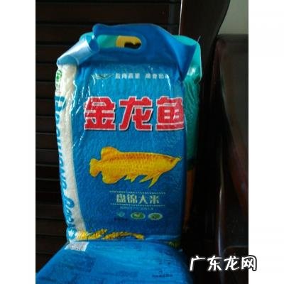 邮1百斤大米要多少钱 百斤大米鱼