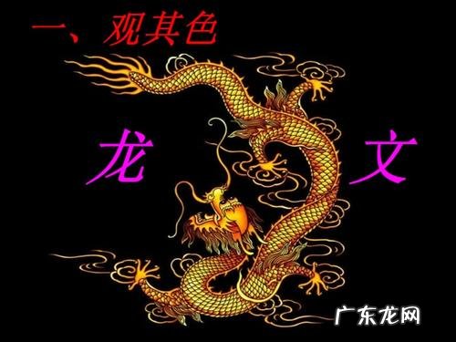 龙文歌词里的所含故事 龙文歌词