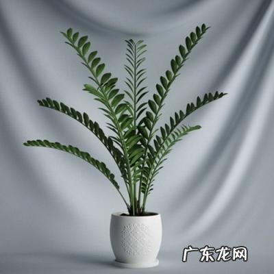 职务侵占罪 zhiwu