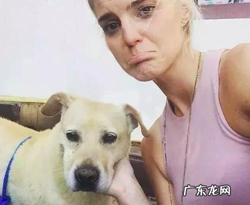 狗生病了怎么医治 狗生病