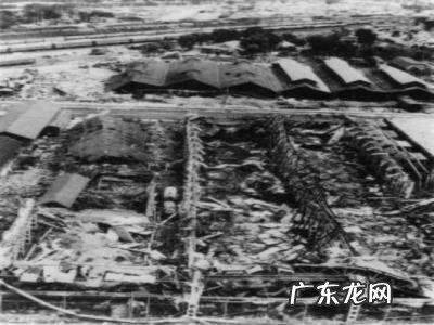 唐山大地震几级死亡人数是多少 唐山大地震几级