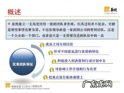 团队协作的五大障碍书籍 团队协作的五大障碍