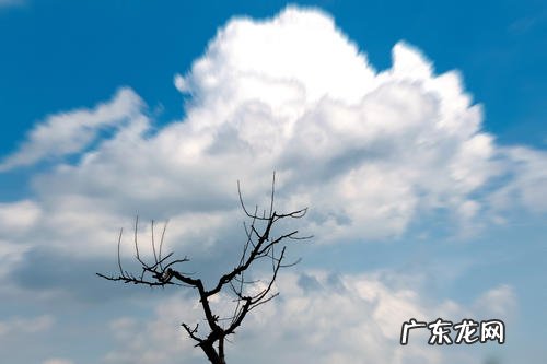 天对地雨对风大陆对长空摘自 天对地