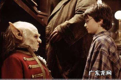 神奇动物在哪里男主和哈利波特的关系 神奇动物在哪里和哈利波特的关系