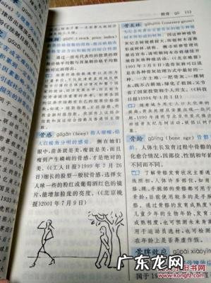 新词语新用法十例 新词语