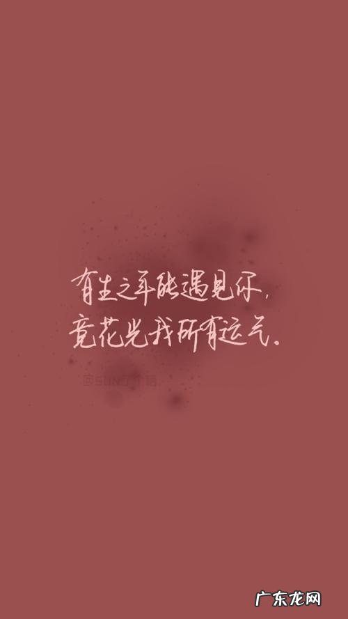 外宣赚钱正能量句子