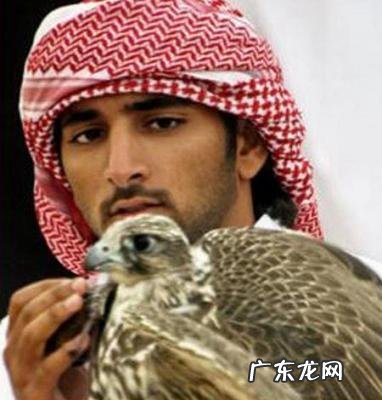 哈曼丹王储到过中国吗 哈曼丹王储