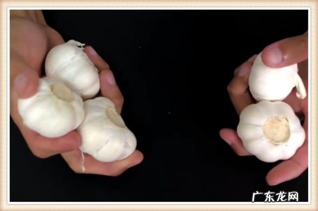 卡鱼刺塞大蒜 大蒜塞鼻消鱼刺原理