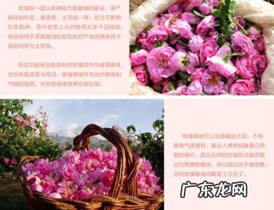 大马士革玫瑰精油的功效 大马士革玫瑰精油