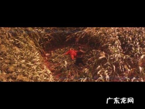 电影红高粱在线播放免费 电影红高梁