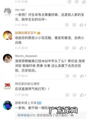 宠物托运siri事件 siri事件