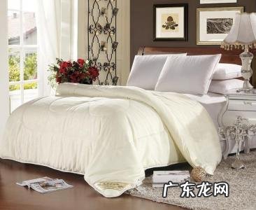 国内最好的蚕丝被品牌排行榜 好的蚕丝被品牌