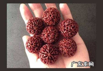 金刚菩提子清理方法 如何清理金刚菩提子