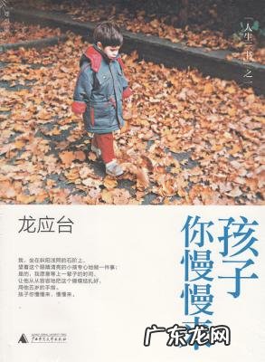 我的祖国龙应台演讲 我的祖国龙应台