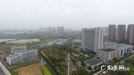 肥西县教育体育局官网 肥西县