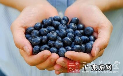 蓝莓的功效与营养 蓝莓一天吃多少为宜