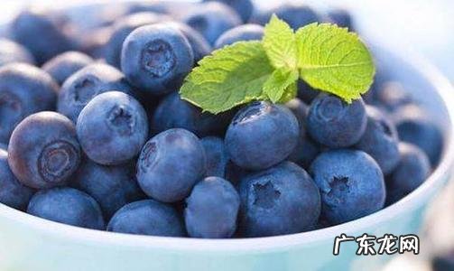 蓝莓的功效与营养 蓝莓一天吃多少为宜