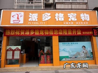 宠物店一年利润怎么样 宠物店一年利润怎么样