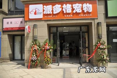 开宠物店赚钱吗 宠物店赚钱吗