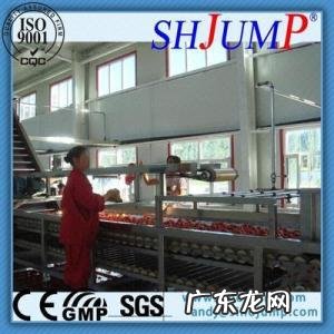 农村生产加工项目 小型生产加工项目