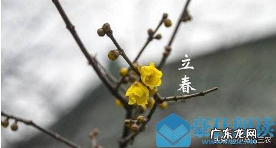 2021年立春是几月几号几点几分交春 2021年立春是几月几号几点几分