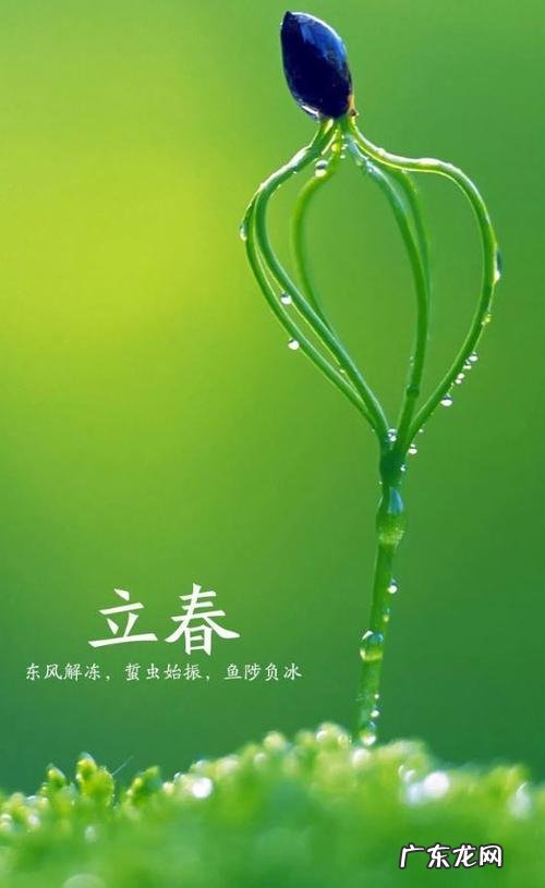 什么时候立春呀 什么时候立春