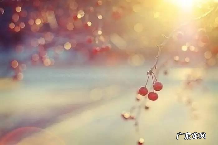 请允许我尘埃落定是什么意思 尘埃落定是什么意思