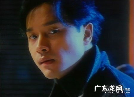 张学友经典歌曲100首 张国荣歌曲大全