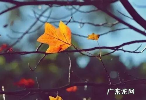 心事若无讲出来 副歌 心事若无讲出来