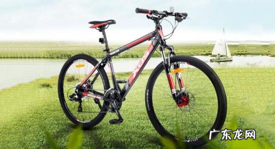 世界十大山地车品牌 山地车十大品牌