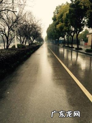 淋雨一直走歌词 淋雨一直走歌词