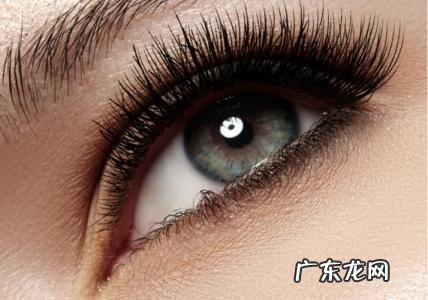 男人左眼跳是什么预兆十二点左右 左眼跳是什么预兆男人