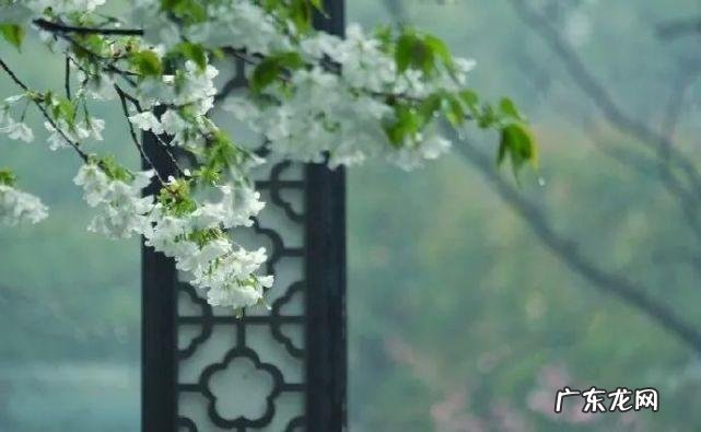 清醒梦境是什么意思 清醒梦境