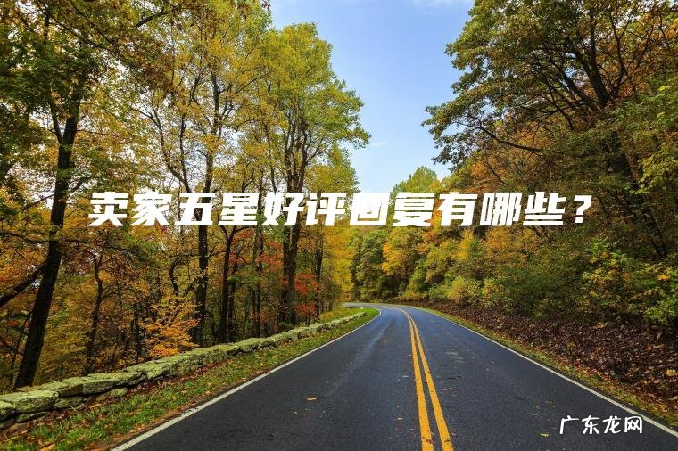 卖家五星好评回复有哪些？