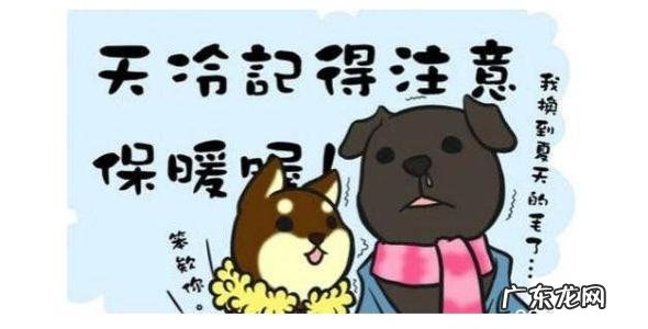 天冷下雪的关心短信 天冷了关心短信