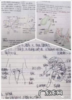 护士手术配合笔记 护士手术笔记走红