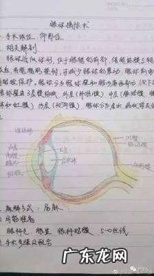护士手术配合笔记 护士手术笔记走红