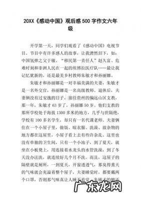 感动中国观后感2021 感动中国观后感